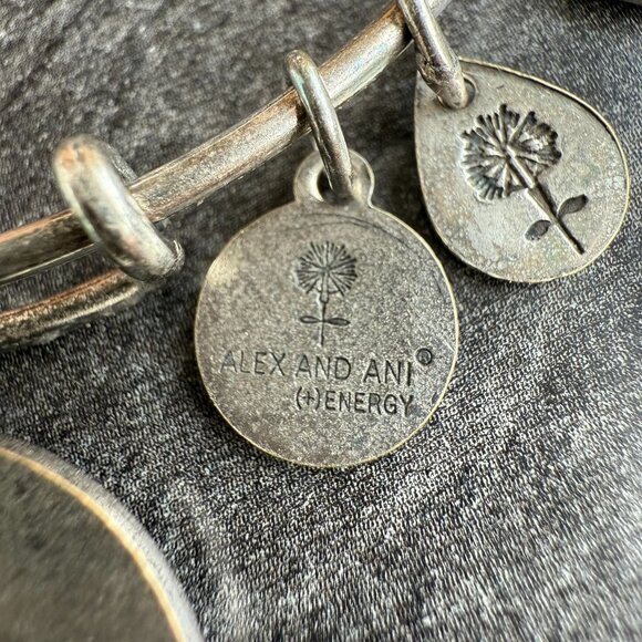 Blessed Bond Alex and Ani Goddaughter Charm Bracelet in Rafaelian Silver 2014 Se - Picture 11 of 14